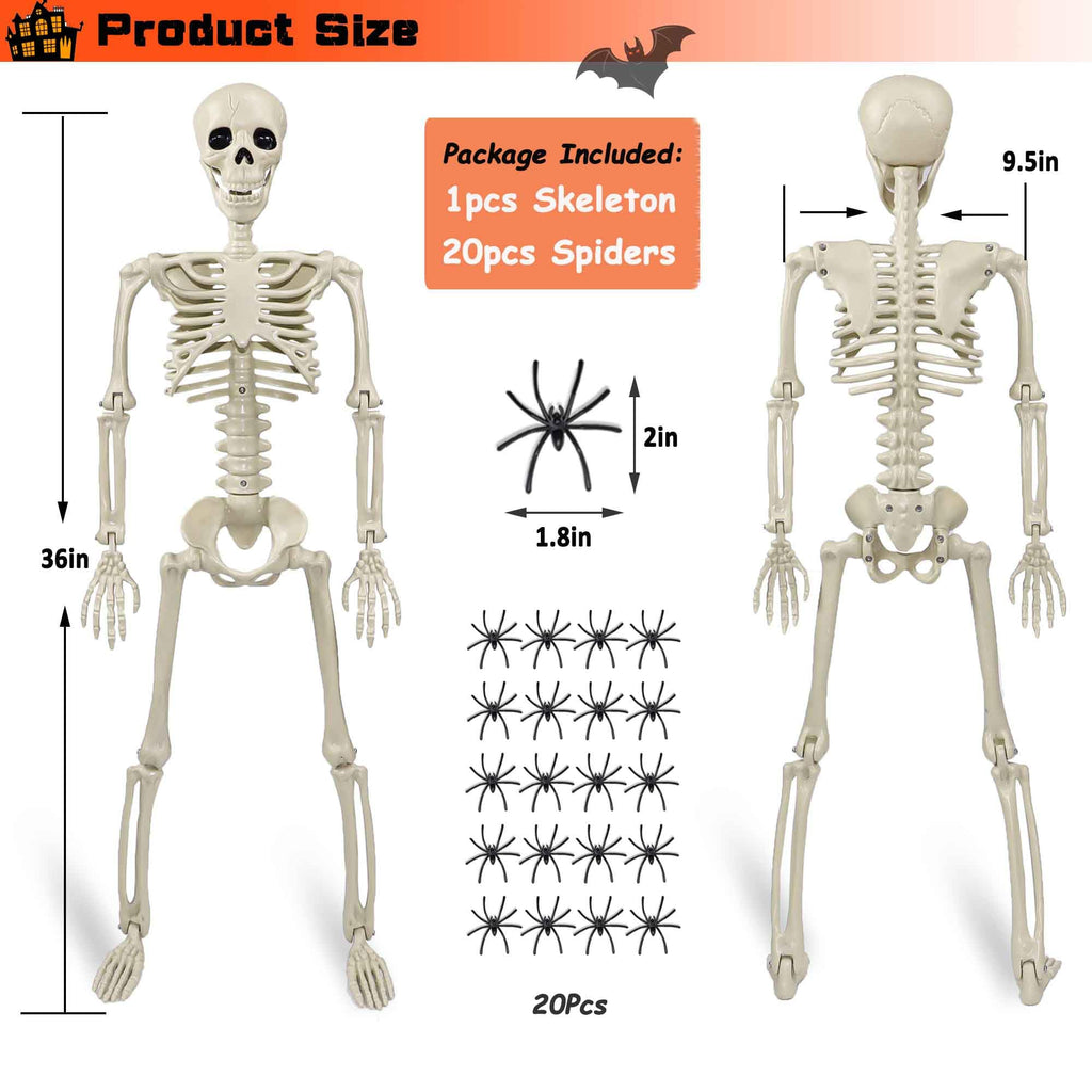 2 Pack 36"Halloween Skeleton - 3 ft Life Size Human Skeleton with Full Body Posable Joints Plastic Skeleton for Halloween Skeletons Decor Yard Patio Lawn Garden Skeleton Props Spooky Party Decoration