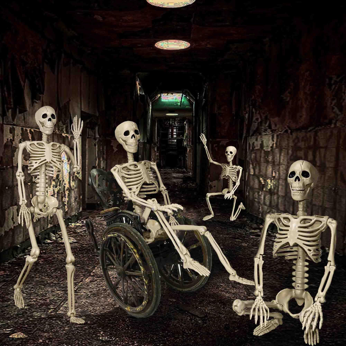 2 Pack 36"Halloween Skeleton - 3 ft Life Size Human Skeleton with Full Body Posable Joints Plastic Skeleton for Halloween Skeletons Decor Yard Patio Lawn Garden Skeleton Props Spooky Party Decoration